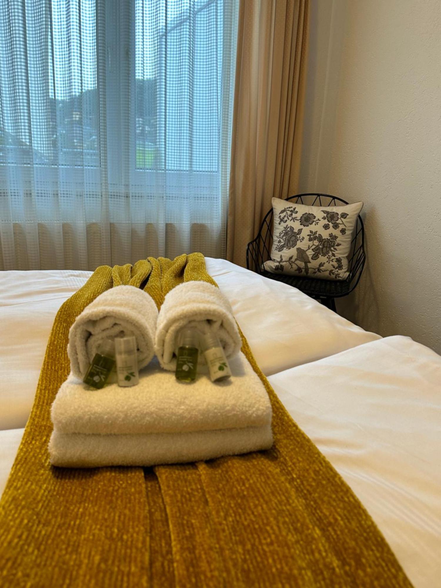 Rheinblick Appartements レマーゲン エクステリア 写真